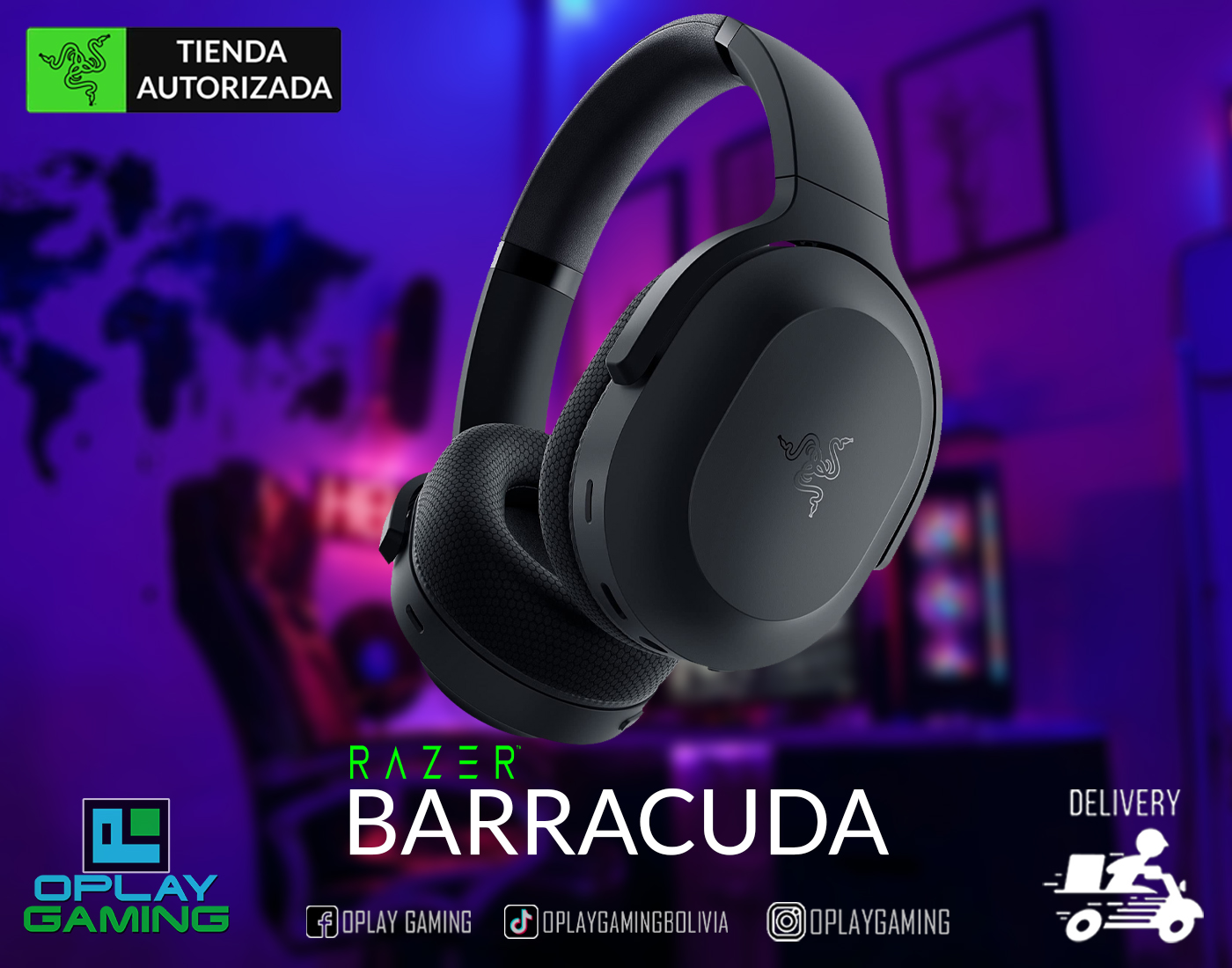 barracuda